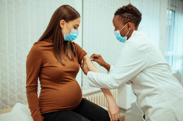 afrikaanse amerikaanse vrouwelijke arts die een zwangere vrouw para vacinação voorbereidt - agulha médica fotos de stock e fotos