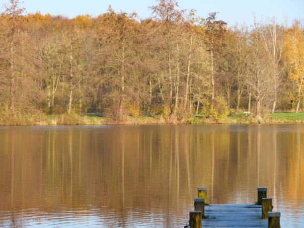 istock autumn at a lake in germany 1294484008