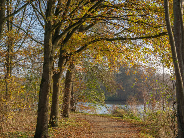 istock autumn at a lake in germany 1294484118