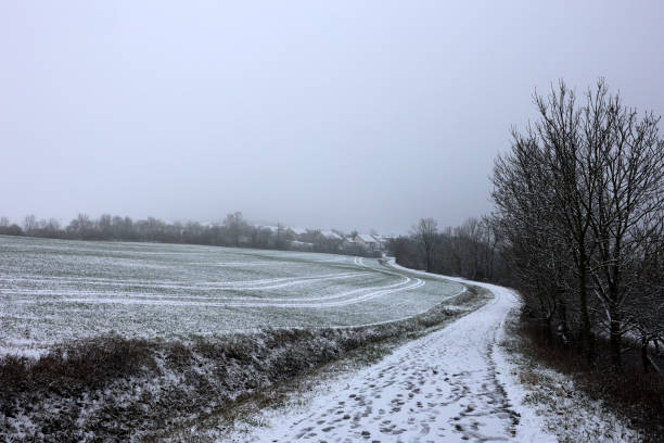 istock Fields and meadows on a frosty winter morning 1294484182