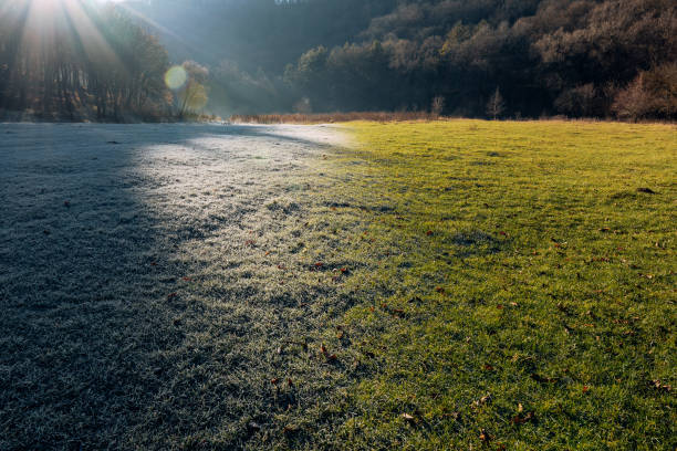 Cold Morning Along River Scenic Sunrise Landscape - Frozen vegetation coated with frost with warm sunrise light and cool winter shadows. Nature scenic along Eagle River on very cold morning.