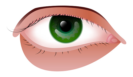 Vector Eye In Gradient Style Stock Illustration - Download Image Now ...