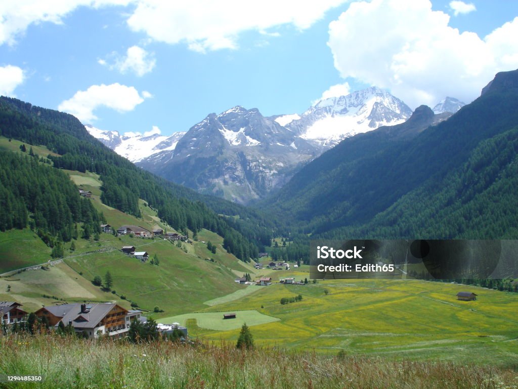 In the Reintal in South Tyrol, Italy View on the Reintal valley in South Tyrol, gentle flower meadows, steep mountain slopes and in the background the snow-covered mountain peaks in the Rieserferner-Ahrn nature park, scattered houses Alto Adige - Italy Stock Photo