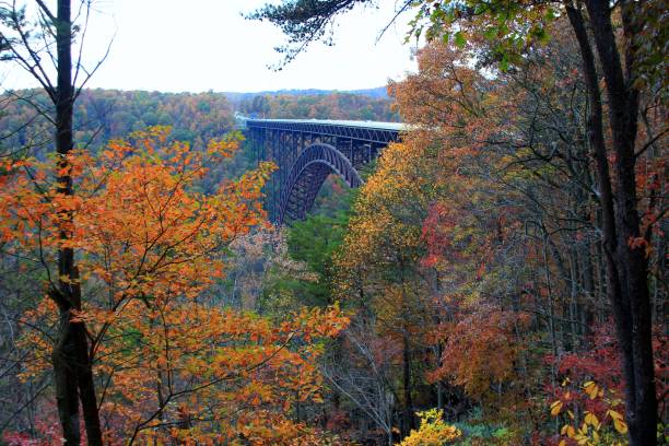 istock New river gorge bridge in west virginia sorrounded by fall colors 1294485640