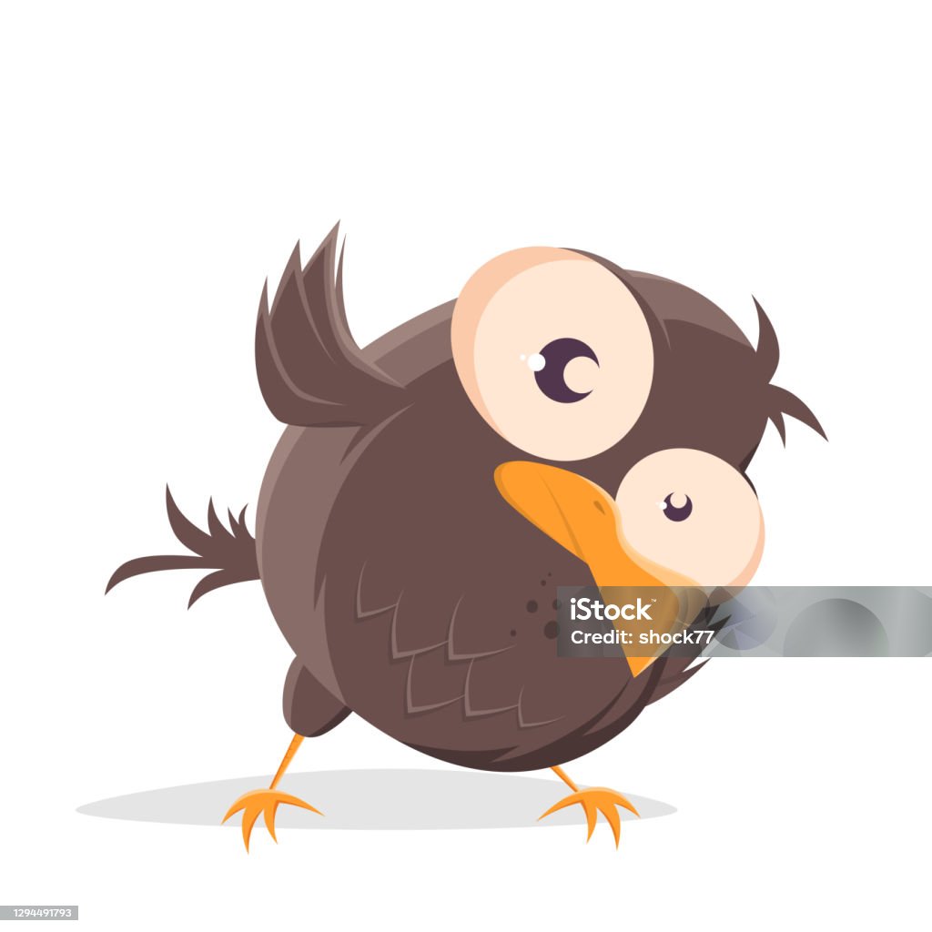 Funny Cartoon Bird Is Very Curious Stock Illustration - Download Image Now  - Bird, Animal, Animal Body Part - iStock