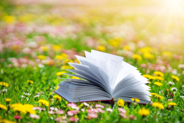 istock Open book in the grass on the field on sunny day 1294492943