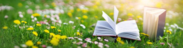 istock Open book in the grass on the field on sunny day 1294492959