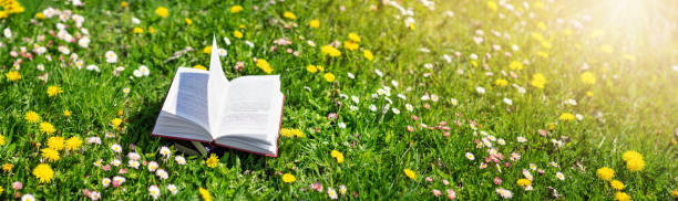istock Open book in the grass on the field on sunny day 1294493055