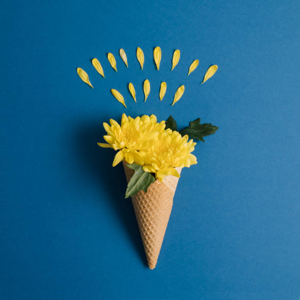 istock Yellow flowers and ice cream cone on blue background. Minimal concept. Flat lay. 1294493164