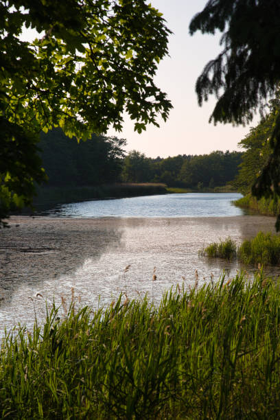 istock Landscape with a forest lake in the evening 1294493912
