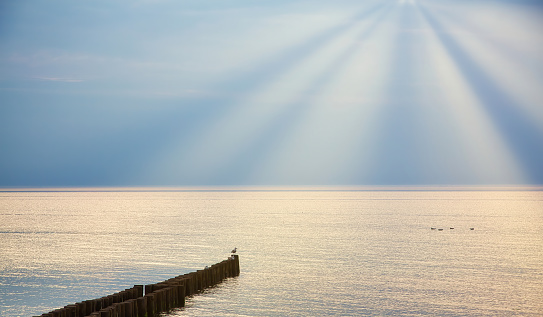 pebble beach of Batumi in the evening