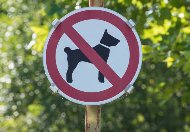 no dogs allowed sign in the park, prohibtion of dogs