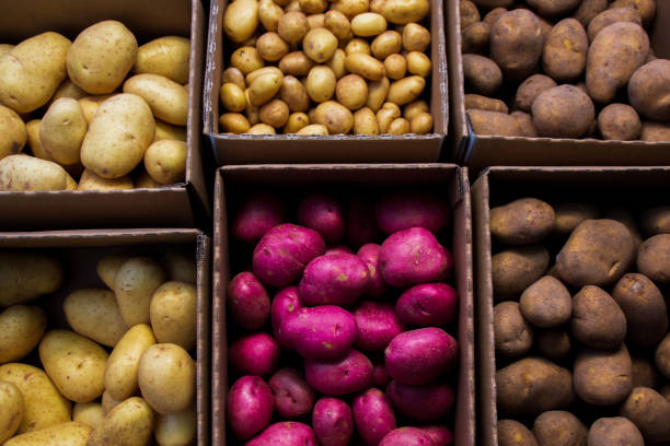 istock Boxes full of different types of potatoes 1294500778