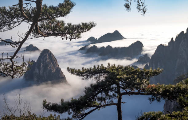 View of the clouds and the pine tree at the mountain peaks of Huangshan National park, China. Landscape of Mount Huangshan of the winter season. stock photo
