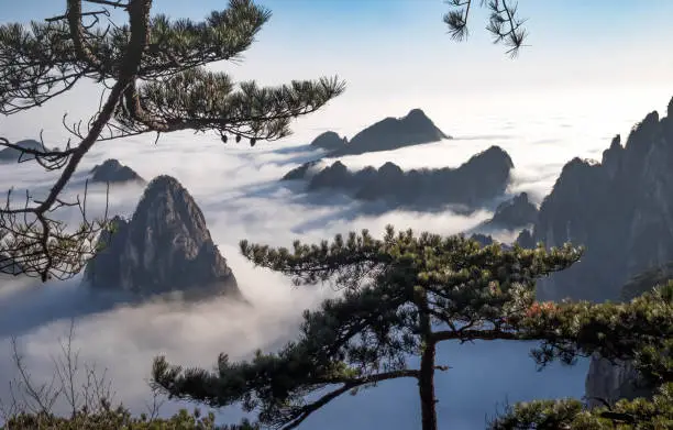 View of the clouds and the pine tree at the mountain peaks of Huangshan National park, China. Landscape of Mount Huangshan of the winter season. UNESCO World Heritage Site, Anhui China.