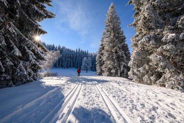 숲 의 가장자리에 눈 덮인 겨울 풍경 - clear sky ski footpath snow 뉴스 사진 이미지