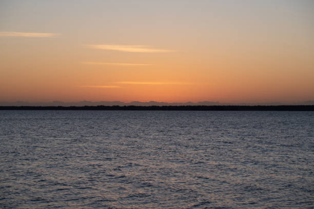 istock Lake Mattamuskeet 1294509087