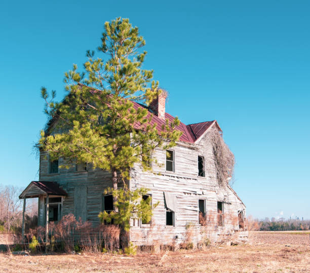 istock Old House in the Country 1294509104