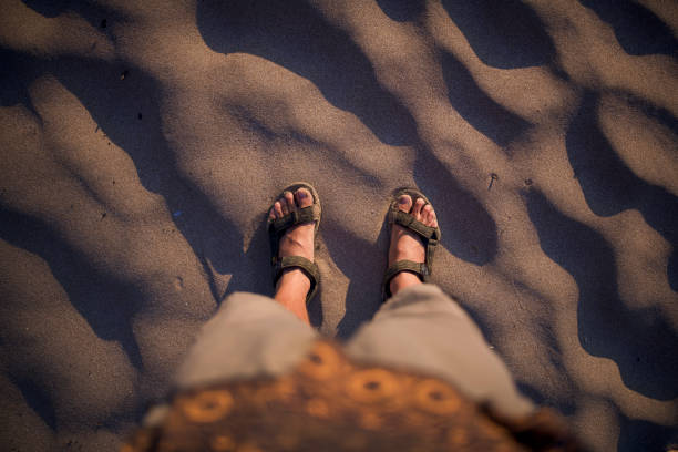 istock Male With Sandals At The Beach 1294510646