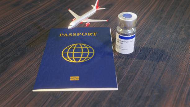 istock Coronavirus COVID-19 Vaccine Immunity passport airplane 1294510976