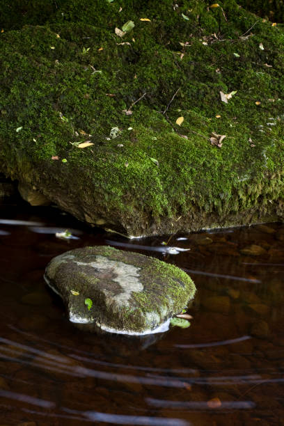 istock Walden Beck near West Burton Falls, North Yorkshire 1294514920