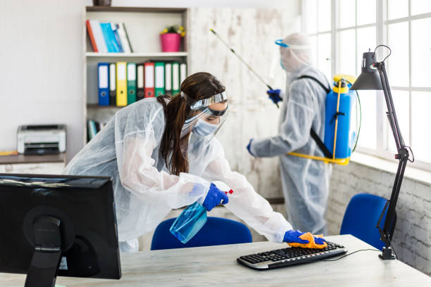 istock To disinfect the office 1294515681