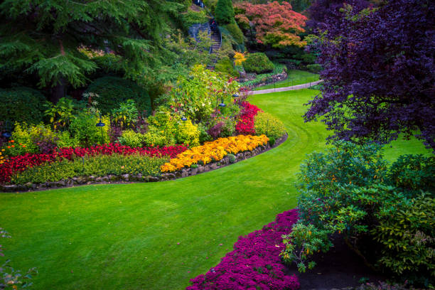 istock Colourful flower bed in a park 1294516873