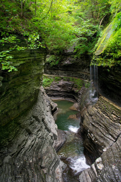 trilha de caminhada - watkins glen state park, nova iorque - scenics waterfall autumn rock - fotografias e filmes do acervo