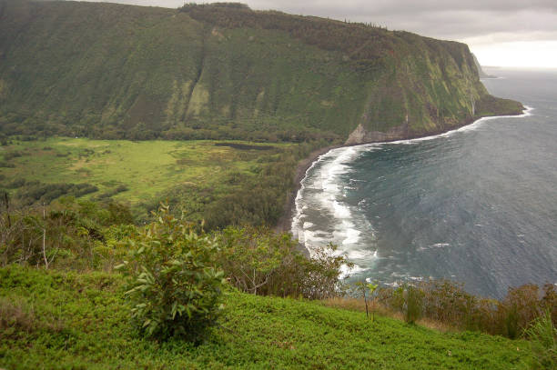 istock Big Island Coastline 1294522541
