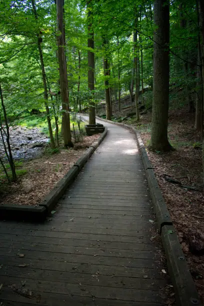 Photo of Catoctin Mountain Park - Cunningham Falls - Frederick Maryland