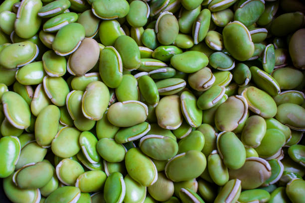 istock View of green lima beans (also known as mocha kottai in tamil language). 1294526522