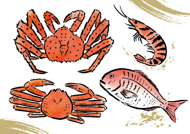 ilustrações, clipart, desenhos animados e ícones de comidas marinhas caras japonesas aquarela - caranguejo real do alasca