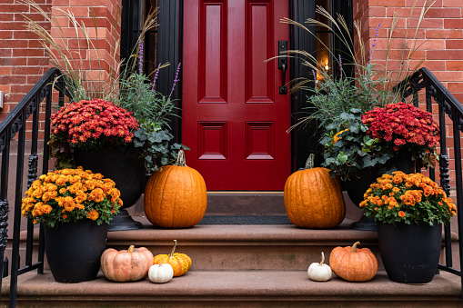 Colorful pumpkins and flowers decorative display on the stairs leading up to an old brownstone home in New York City during autumn