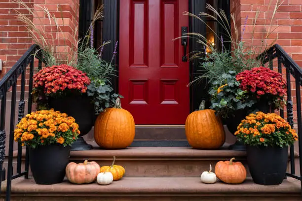 Photo of Colorful Pumpkins and Flowers on the Stairs of an Old Brownstone Home in New York City during Autumn