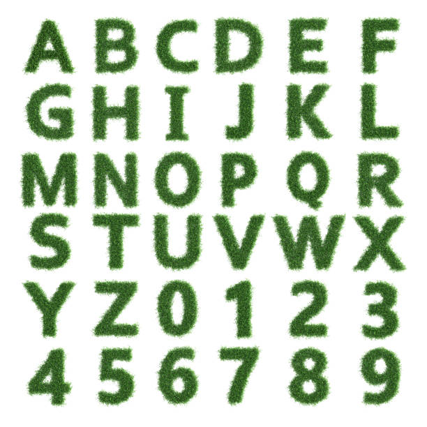 istock Set of Green tree alphabet Letter 1294529079