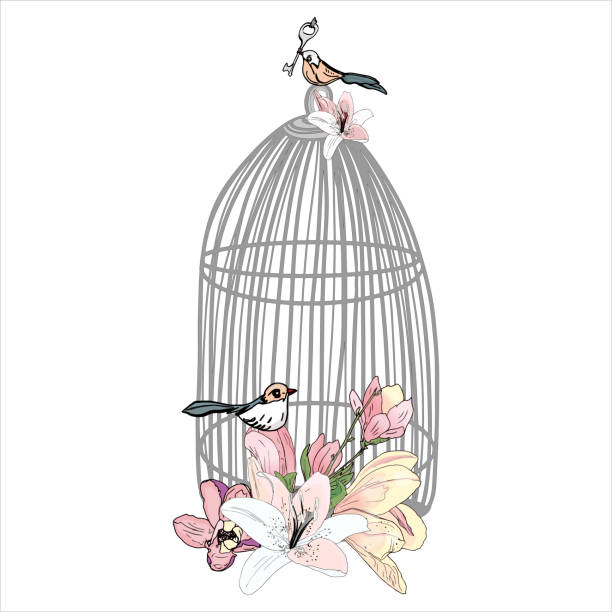 有花的籠子里鳥的向量圖 - 鳥籠 插圖 幅插畫檔、美工圖案、卡通及圖標