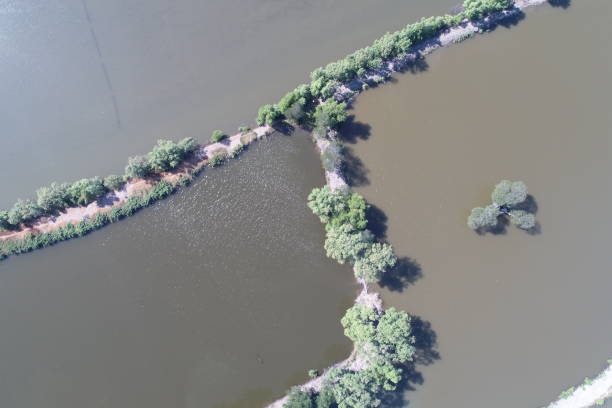 istock mangrove forest aerial view photography drone 1294544450