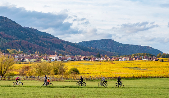 Barr, France - October 30, 2020: people enjoying bike rides along the golden vineyards of Alsace
