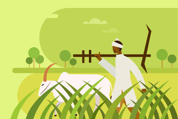 illustrations, cliparts, dessins animés et icônes de fermier retenant une charrue marche avec une bœufs par le domaine agricole - agriculture farm people plow