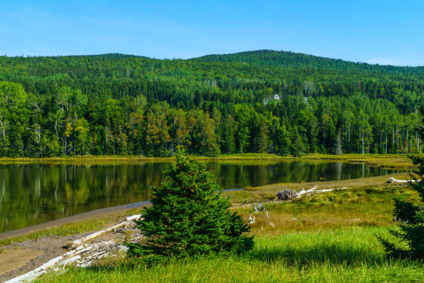 istock Penouille sector of Forillon National Park 1294548752