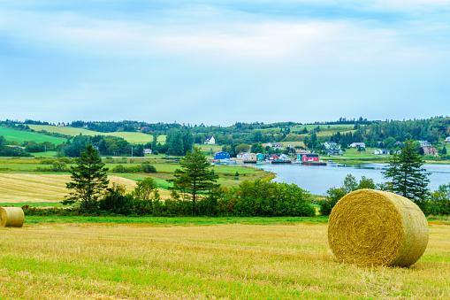 View of countryside and haystacks near French River, Prince Edward Island, Canada