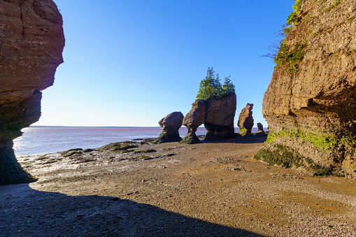 View of Hopewell Rocks at low tide, New Brunswick, Canada