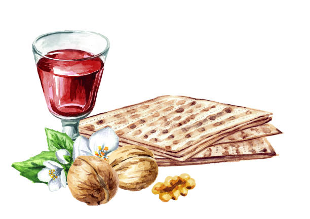 czerwone koszerne wino w szklance, niektóre orzechy włoskie i matzah lub matza. posiłek pascha w pascha. pesach. ilustracja narysowana ręcznie akwarelą izolowana na białym tle - passover matzo wine wine bottle stock illustrations