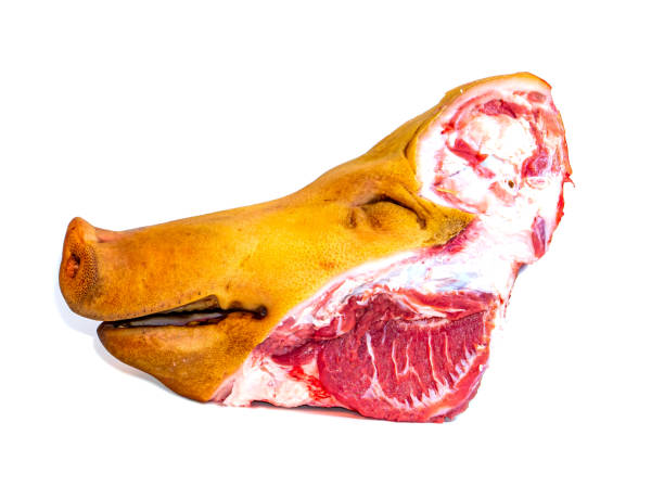 cabeza de carne de cerdo sobre un fondo blanco. - cheek lard fotografías e imágenes de stock