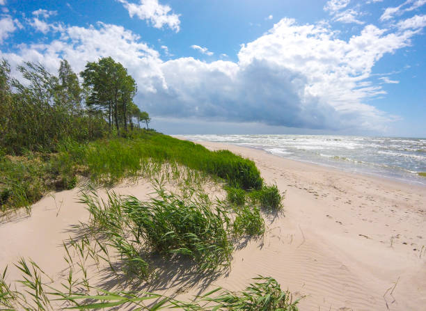 istock Rough sea with waves, cloudy sky, sandy beach and dunes 1294555034