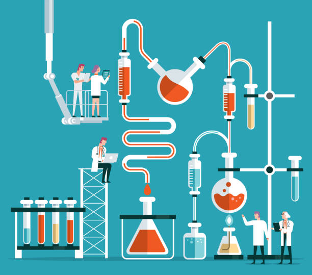 Scientist or chemist team Scientist or chemist team doing a scientific experiment biochemistry stock illustrations