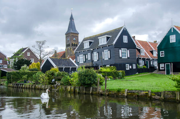 blick auf schwan schwimmen im kanal in kleinen holland fischerdorf historischen stadtzentrum. traditionelle holzfischerhäuser, kanal und schwan, marken, niederlande - north holland stock-fotos und bilder