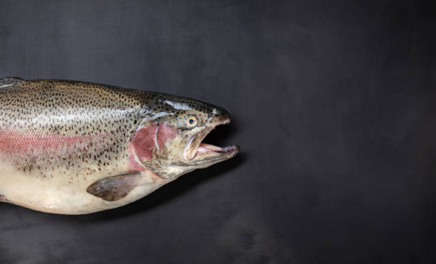 istock Carcass fresh sea trout close-up on black background. Top view 1294560562