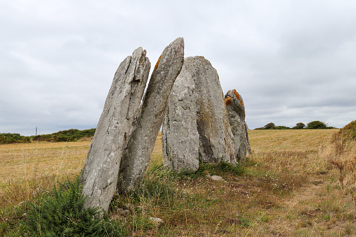 Line of the six menhirs of Vieux-Moulin - Old Mill - megalithic landmark near Plouharnel in Brittany, France