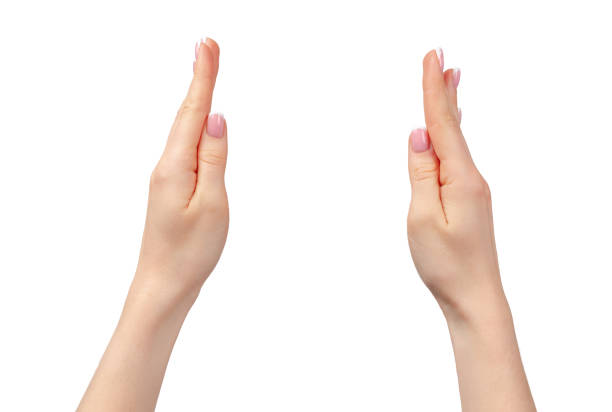 istock Female hand holding something isolated on white background 1294563446